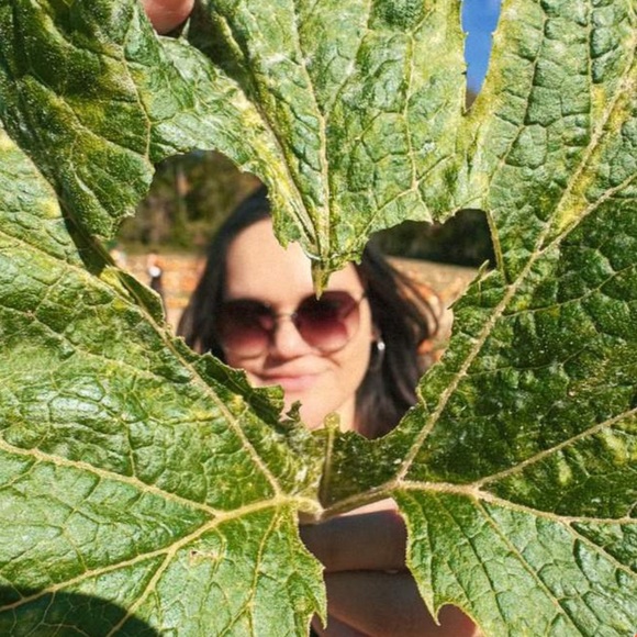 carivicale